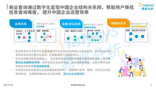 中国商业查询市场分析2021